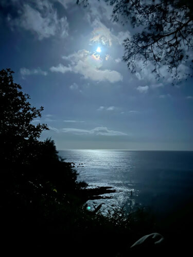 Send your best photos from Maui County to mauiphotos@mauinews.com for a chance to see them featured on our website and in our weekly print edition.